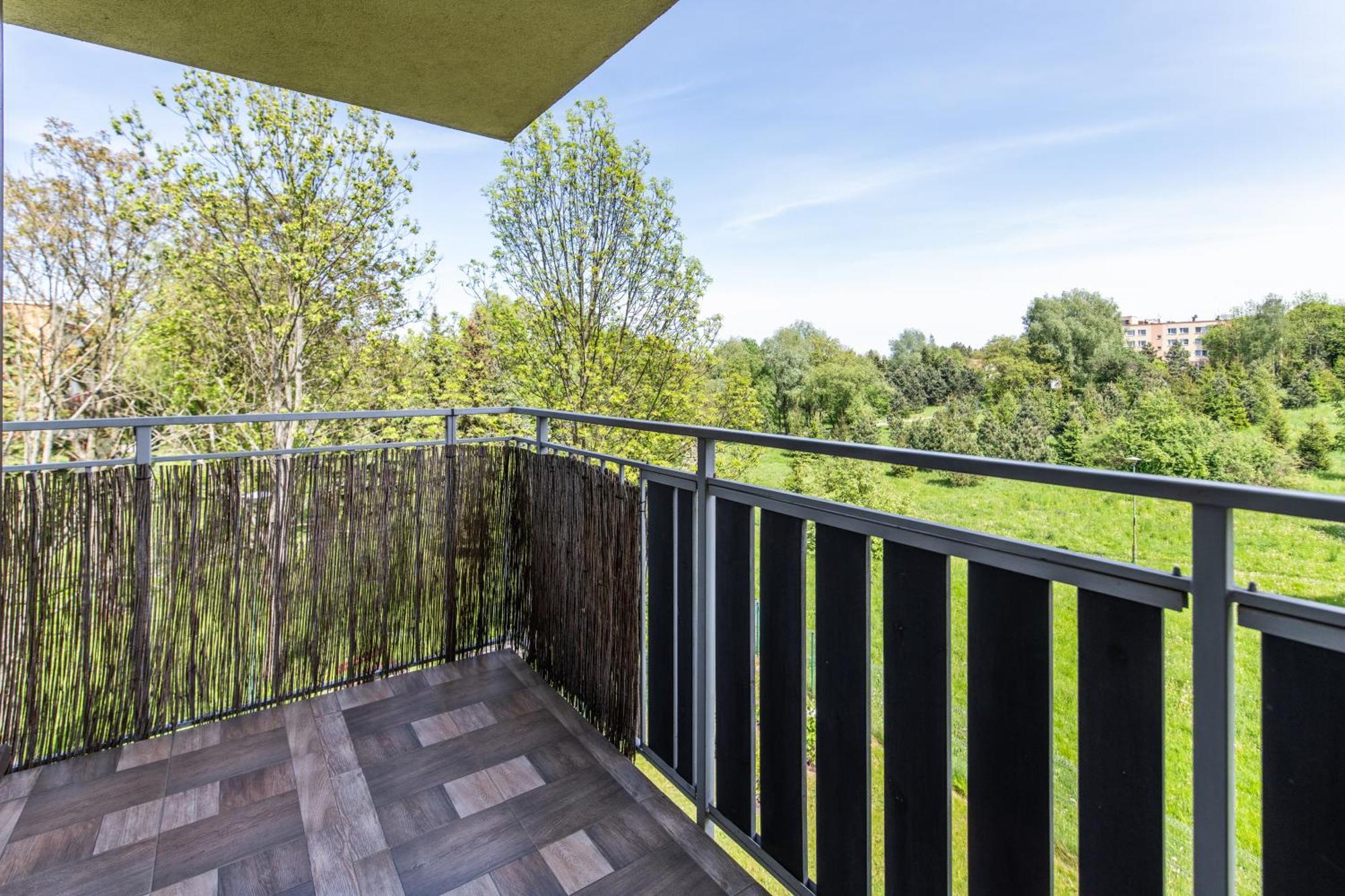 Large Luxury Apartment Wieliczka Zewnętrze zdjęcie